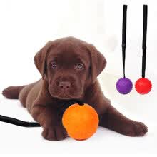 pet-supplies-Funny Rubber Ball Strap Rope Dog Cleaning Teeth Pet Chewing Bite Training Toy on JD