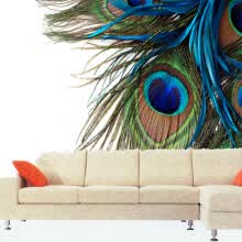 Discount Peacock Wall Mural With Free Shipping Joybuy Com